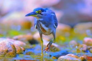 U19欧洲杯奖杯，年轻球员的荣耀与梦想u19欧洲杯奖杯